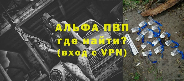 a pvp Абаза