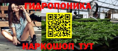 метадон Новодвинск