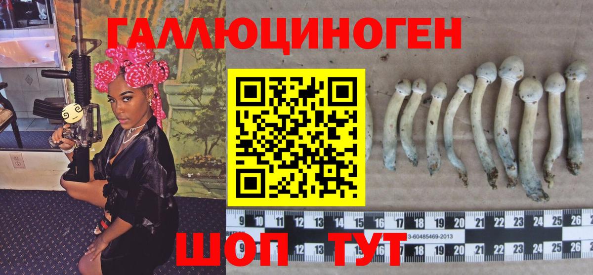Галлюциногенные грибы Psilocybe  Псилоцибиновые грибы мухоморы  Вход с VPN  Северодвинск 